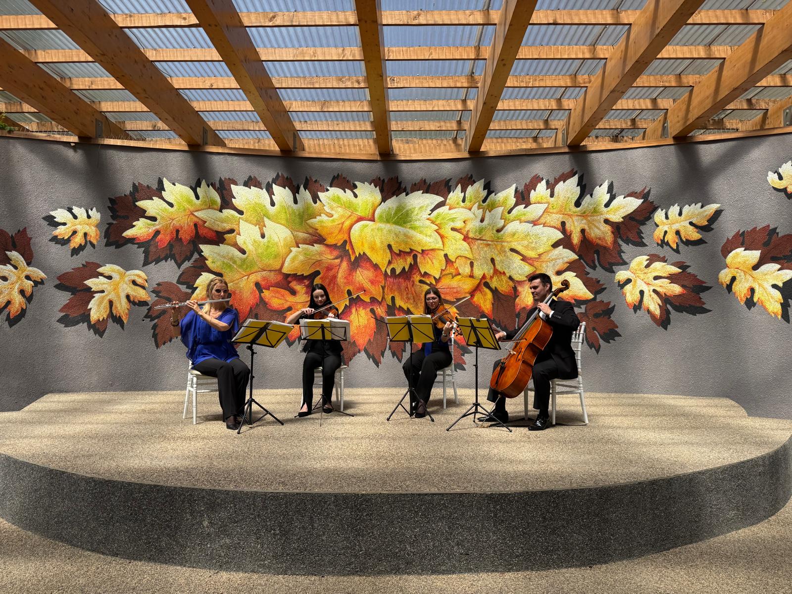 WhatsApp Image 2025 05 30 at 11.10.36